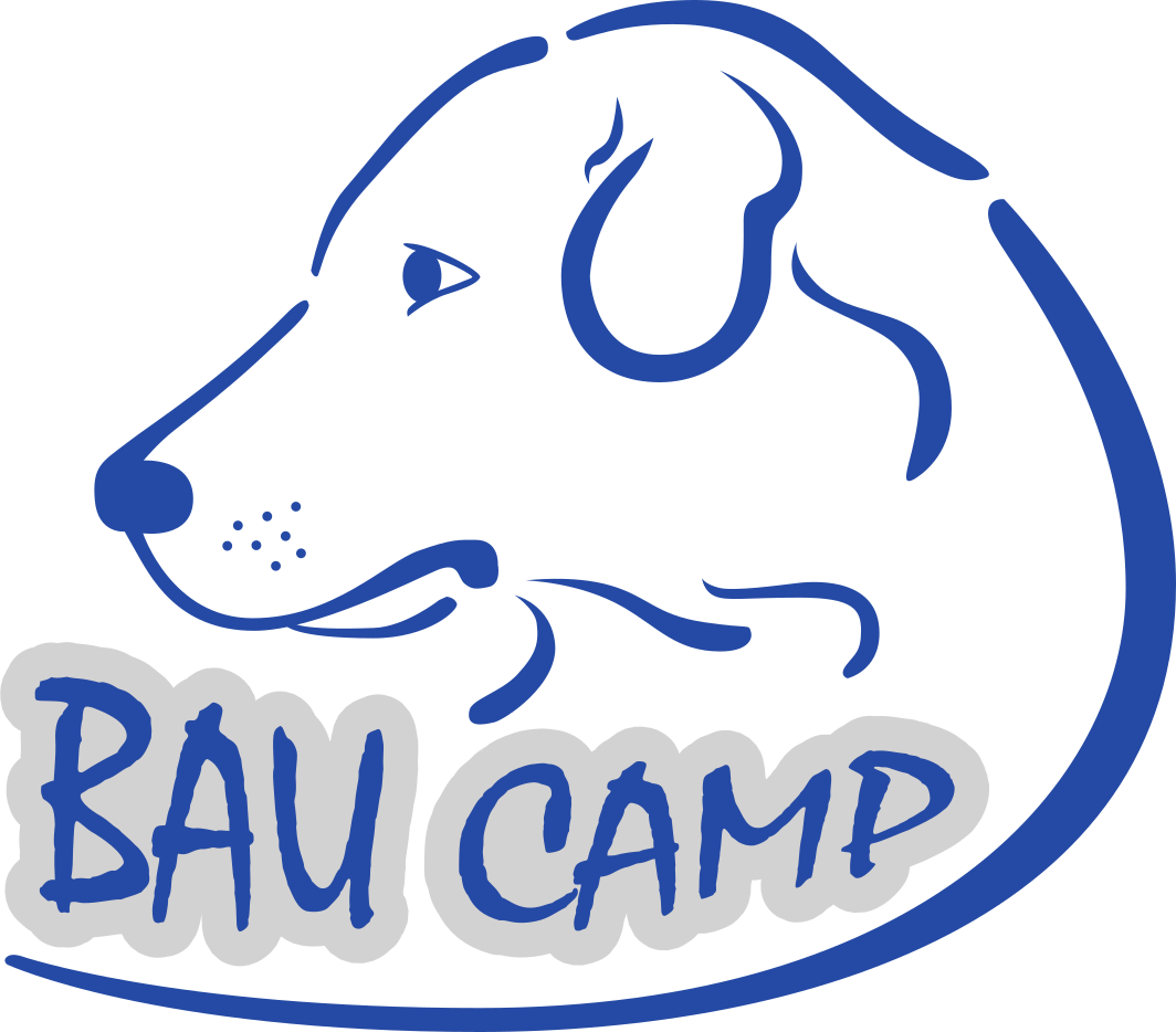 logo Bau Camp Campo Cinofilo